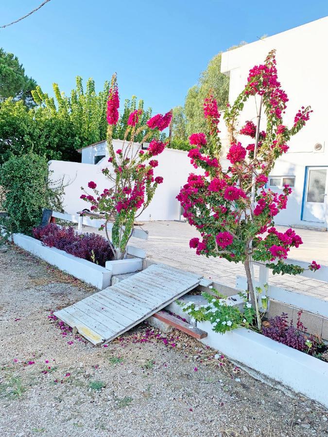 Apollonio Suites & Rooms Faliraki Rhodes Zewnętrze zdjęcie